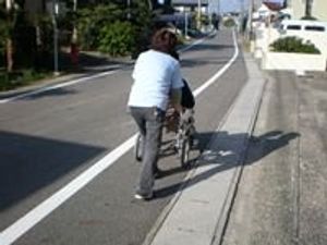 車椅子を押す様子