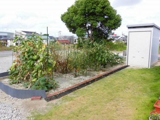 手入れされた庭