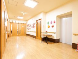 明るい廊下と装飾