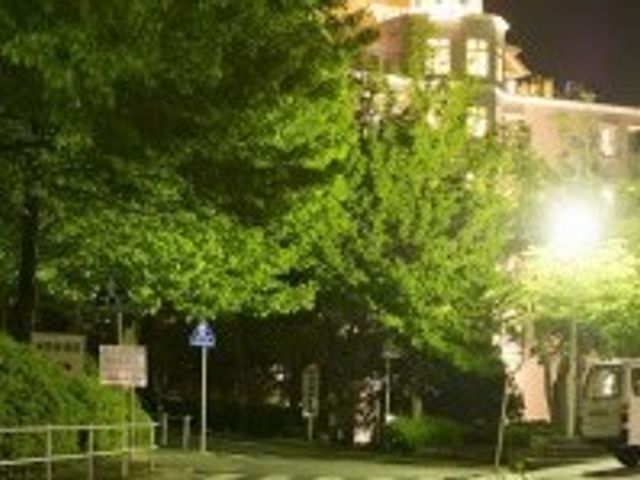 夜の緑豊かな外観 外観 夜に照らされる木々が美しい静けさを演出しており、潤いに満ちた環境の中でご勤勉いただけます。