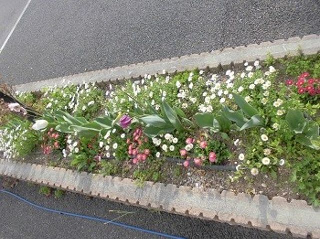 花壇のある外観  