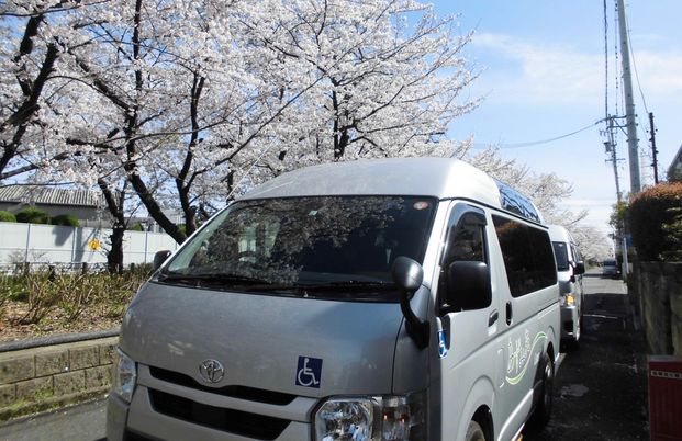 桜並木の車両