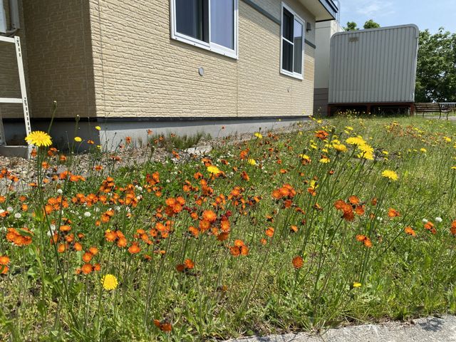 花が咲く中庭 中庭 色鮮やかな花々が目を引く清々しい中庭です。季節の移ろいを感じながら、穏やかな時間をお過ごしいただけます。