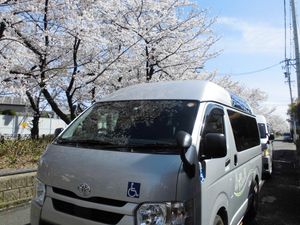 送迎車と桜並木の外観