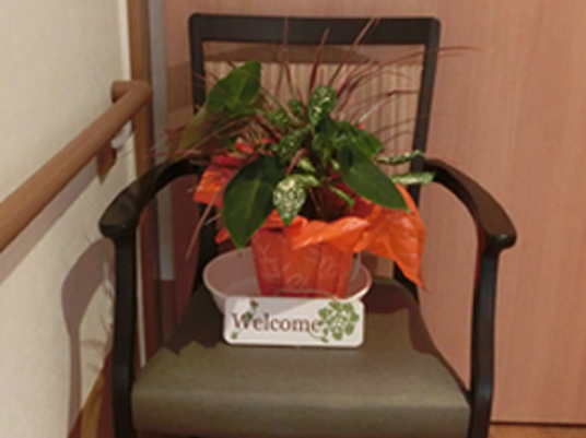 鉢植えのある椅子の廊下  