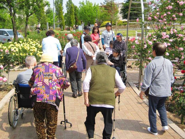 花に囲まれた庭 庭 花々に囲まれた庭道を散策中の様子です。色とりどりの花々が気持ちを和ませます。