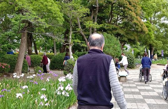花が咲く歩道