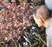 桜を眺める利用者と庭