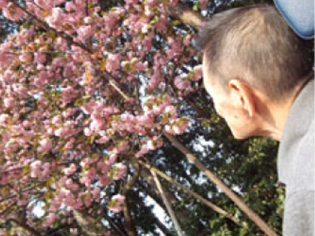 桜を眺める利用者と庭 庭 庭で桜を見上げる様子です。自然と触れ合える環境が整っています。
