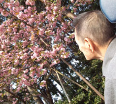 桜を眺める利用者と庭