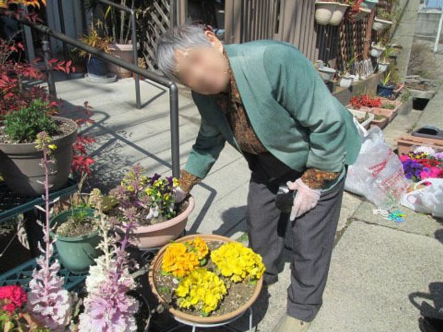 花に囲まれた女性 日常 手入れが行き届いた中庭で、ガーデニングにいそしむ方の様子をご覧いただけます。屋外での活動は日々の生活に彩りを与え、心身の健康に寄与します。