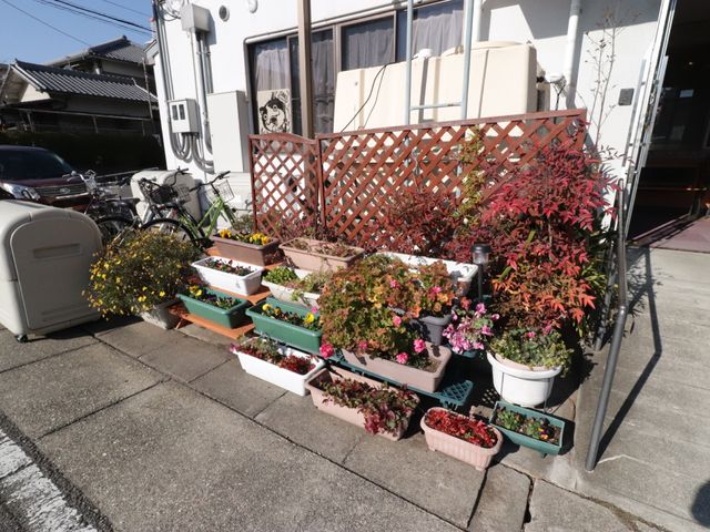 花々が鮮やかな玄関前 外観 玄関前には色とりどりの花が植えられ、訪れる方々を明るい雰囲気で迎えます。