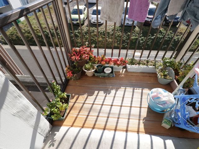 ベランダの植物と日用品 ベランダ 日差しが差し込む明るいバルコニーです。手入れの行き届いた植物たちが、居心地の良い空間を演出しています。