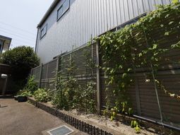 緑豊かな外観