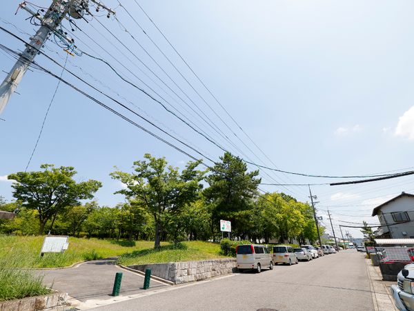 緑豊かな中庭