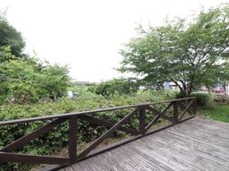 緑豊かな庭の景色