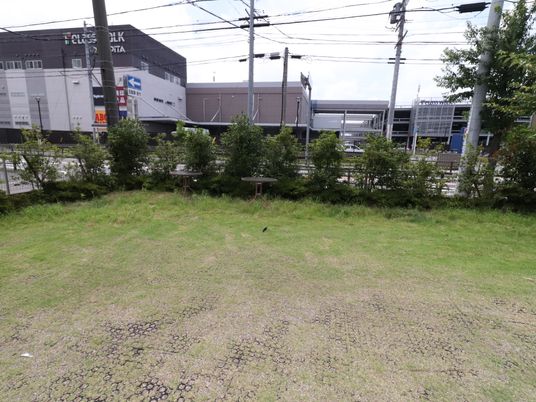 緑豊かな公園エリア