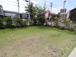 緑豊かな中庭