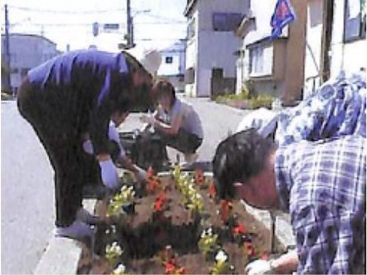 居室での植物の手入れ