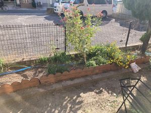 花壇のある庭  