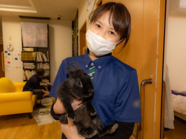 スタッフとウサギのふれあい