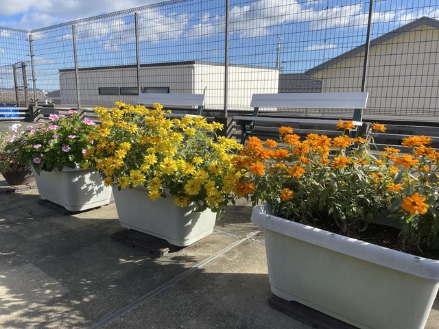 晴れた日の施設屋上 屋上 開放的な屋上スペースがあり、植物に囲まれた中で日光を浴びてリラックスできそうな環境です。お仕事中の小休憩にも最適な場所でしょう。