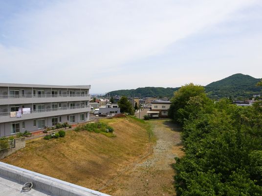 緑豊かな住宅地景色