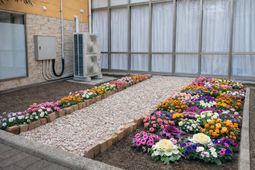 花壇とエアコンが見える庭