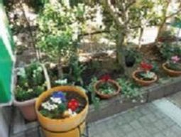 緑豊かな庭の一角