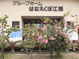 清潔感のある外観と緑