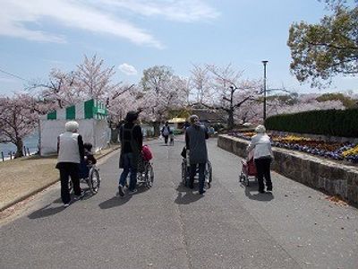 桜並木と散策中の人々