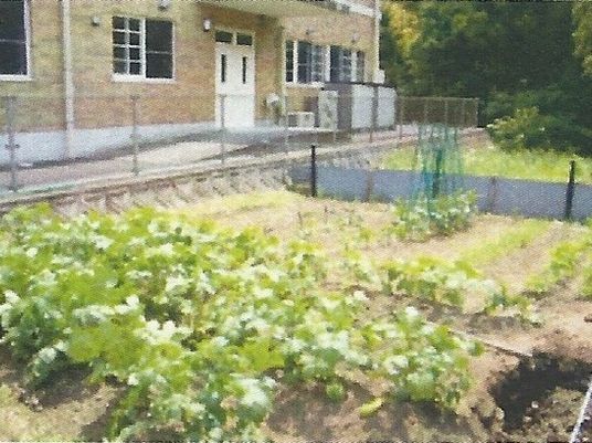 建物前の菜園と通路  