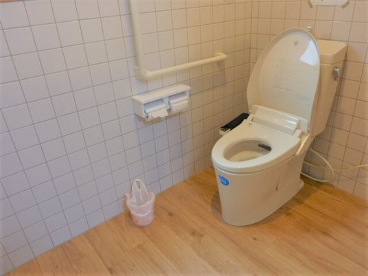 手すり付き清潔なトイレ