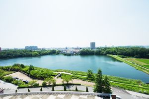 美しい自然の景色