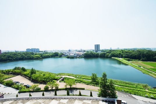美しい自然の景色
