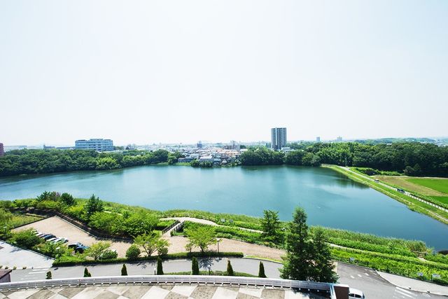 美しい自然の景色