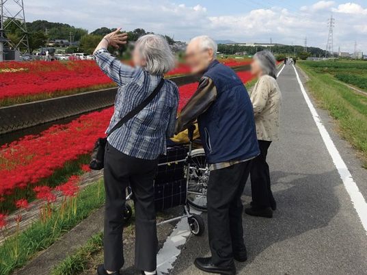 散策中の高齢者の様子