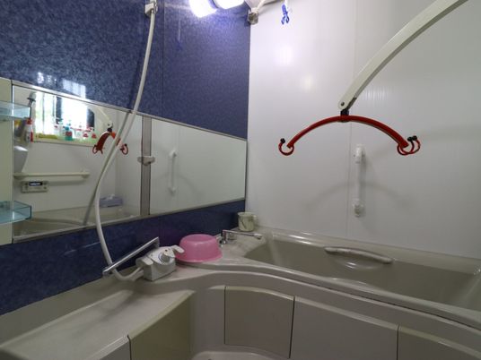 手すり付きの清潔な浴室