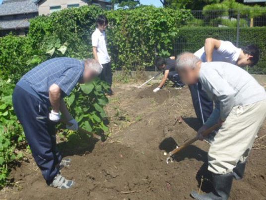 庭で作業する人々