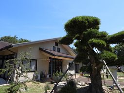 緑豊かな庭のある建物