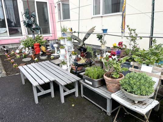 色とりどりの庭の風景