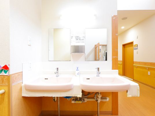 清潔な洗面台と鏡