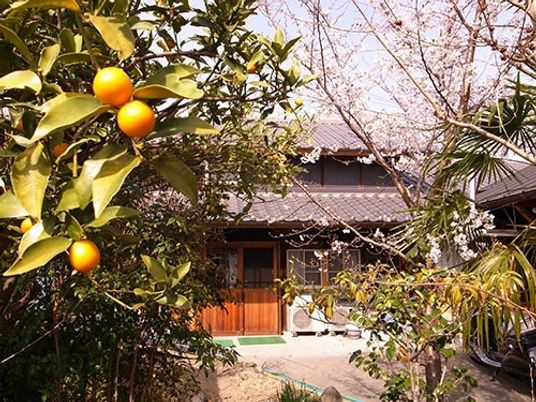 植物に囲まれた一軒家外観