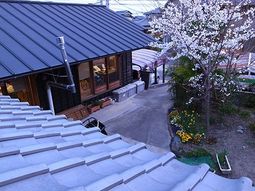 桜と共に春を感じる中庭