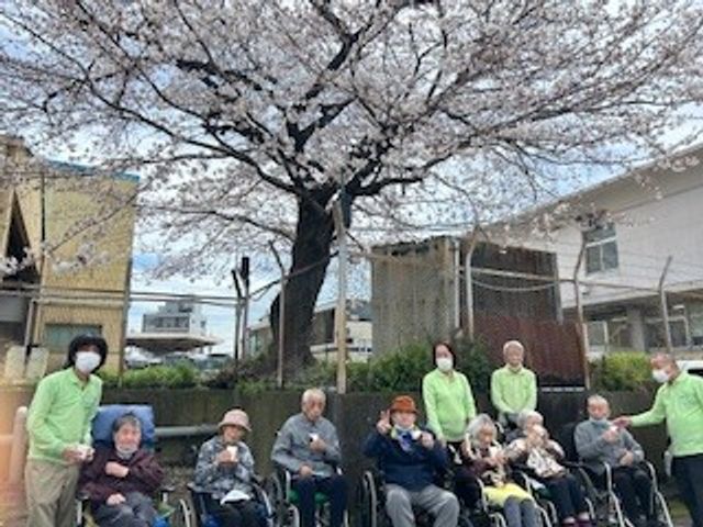 お花見