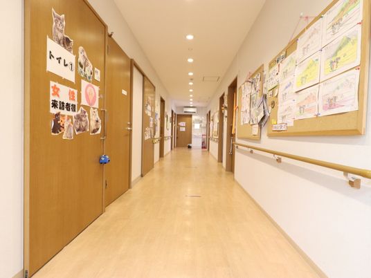 明るい廊下と掲示物
