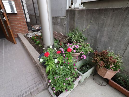 色とりどりの花がある中庭