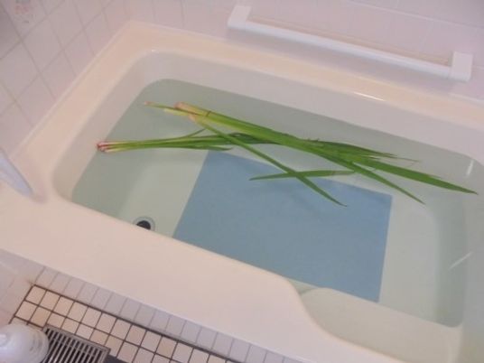 お風呂に浮かぶ緑の葉っぱ