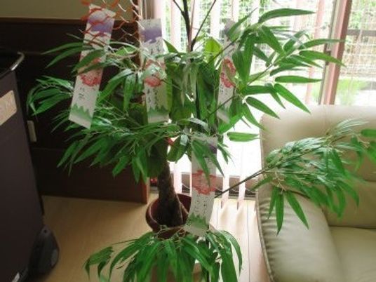 緑の植物と和室