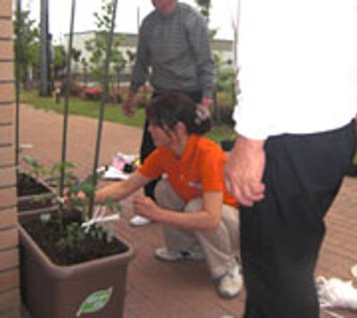 庭での植栽活動